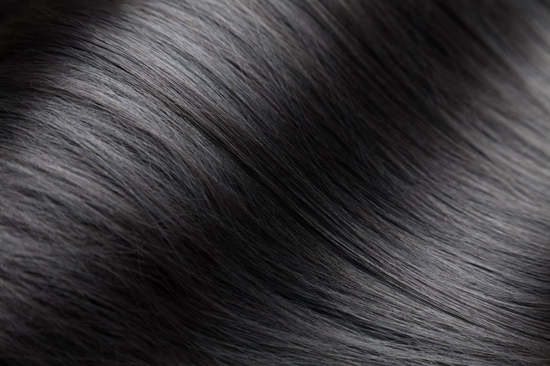 Glossy Black Hair Closeup